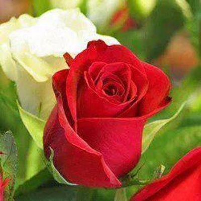 Profile Picture of Tom  (+_+)        ์ (@JameTeer) on Twitter