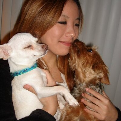 Profile Picture of Fei Xue (@FifiFeiXue) on Twitter