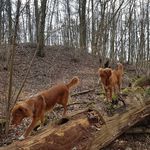 Profile Picture of iris en lisa (@toller_kayla_doedel) on Instagram