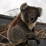 Profile Picture of Nicholas Walter Hilbert (@earthtrekkerphoto) on Instagram