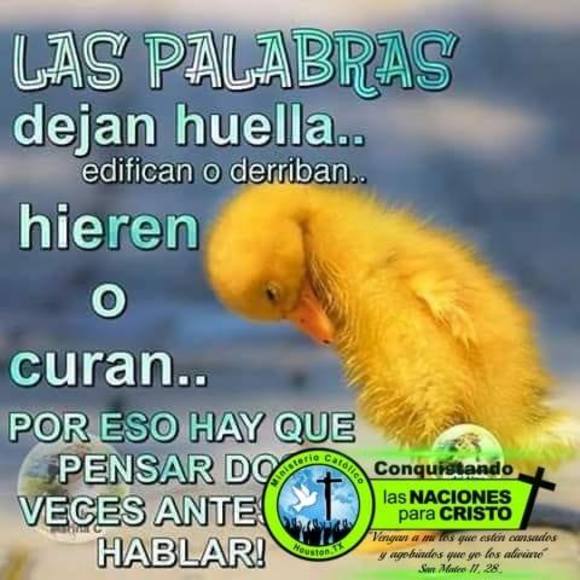 Profile Picture of Luis Tacuri (@tacuri_raul) on Poshmark