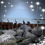 Profile Picture of Howard Berman (@biggranddaddy1950) on Instagram