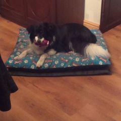 Profile Picture of John.rudden@oneeduca (@Ruddersmcfc) on Twitter