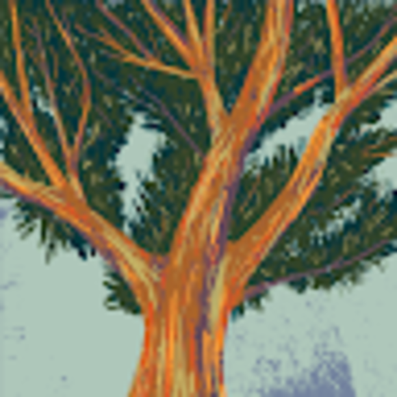 Profile Picture of Cassandra Arndt (@carndt555) on Poshmark