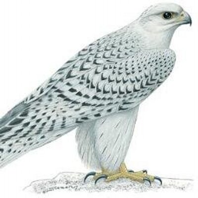 Profile Picture of Ivan Garcia Aguilera (@ivanaguilera22) on Twitter