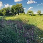 Profile Picture of Mark Loveday (@mark.loveday.9) on Instagram