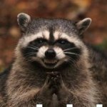 Profile Picture of Michelle Methvin (@michellejm27) on Instagram