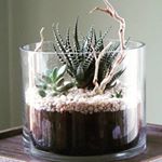 Profile Picture of Charles R Lowe (@lowecharlesr) on Instagram