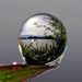 Profile Picture of Rick Maurmann (@maurmann3540) on Pinterest