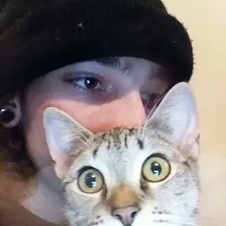 Profile Picture of Ian Allard (@ian_allard) on Instagram