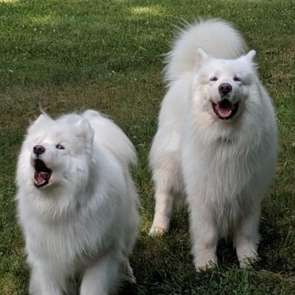 Profile Picture of Inga Kalinichenko-cenatiempo (@kalinich1) on Poshmark