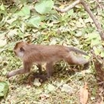 Profile Picture of AáAâaäAp (@alice.zeeeeh) on Instagram