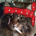 Profile Picture of Brandon Shrader (@splitsecond713) on Instagram