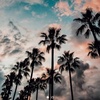 Profile Picture of Jacob Gillis (@@jacobfg04) on Tiktok