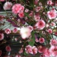 Profile Picture of Roberta Jimenez  (@roberta-jimenez-5) on Quora