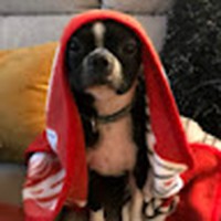 Profile Picture of Marc Brunelle (@marc-brunelle-6) on Quora