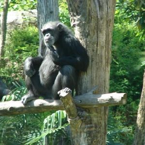 Profile Picture of Stephanie Firth (@385530413) on Myspace