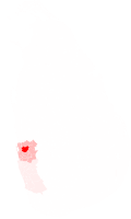 Profile Picture of Minuwangoda Polling Divisionon Wikipedia