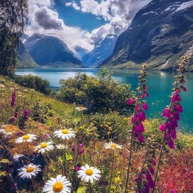 Profile Picture of Melissa Mutter (@billie25) on Pinterest