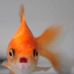 Profile Picture of Theodore Springer (@theodore.springer) on Facebook