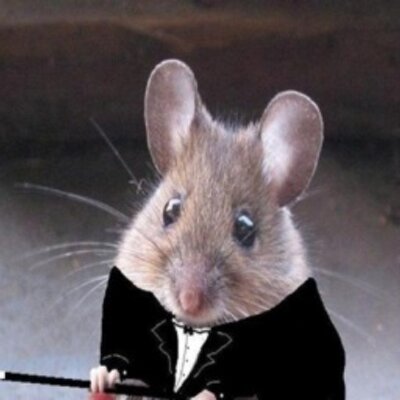 Profile Picture of Sheridan Leonard (@SheridanLeonar3) on Twitter