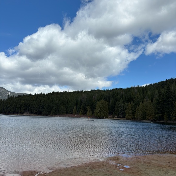 Profile Picture of Damale Bradley (@damalebradley) on Poshmark