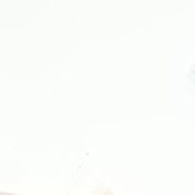 Profile Picture of David Ji (@davidji4004) on Youtube