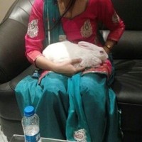 Profile Picture of Pooja Srivastava (@pooja-srivastava-293) on Quora