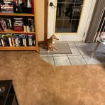 Profile Picture of Brayden Hancock (@Brayden-Hancock) on Facebook