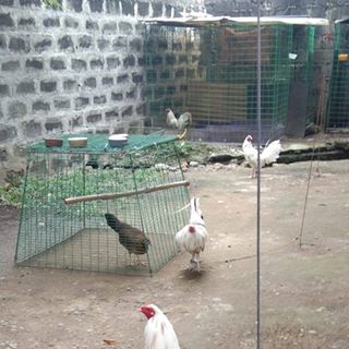 Profile Picture of Richard Cantiveros (@richard.cantiveros.31) on Facebook