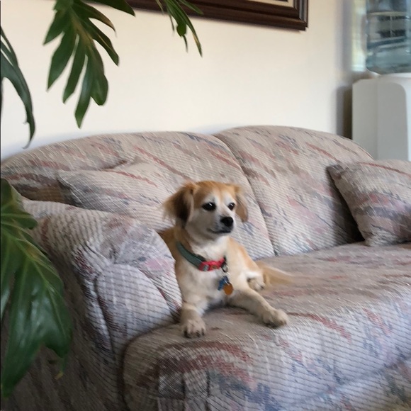 Barbara Worman - Poshmark Profile Picture of Barbara Worman (@barbworman) on Poshmark