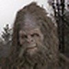 Profile Picture of Darrell Rose (@Oregon Sasquatch) on Flickr