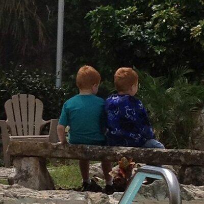 Profile Picture of Tracy Downing (@DowningTracy) on Twitter