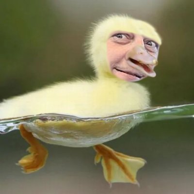 Profile Picture of Andrew Bonnell (@Larry_Biscuit) on Twitter