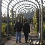 Profile Picture of Allen Irish (@irish2409) on Instagram