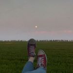 Profile Picture of wolf_ang (@wolf_ang) on Instagram