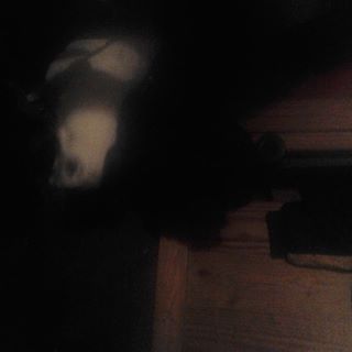 Profile Picture of Roger Parson (@Roger-Parson) on Facebook