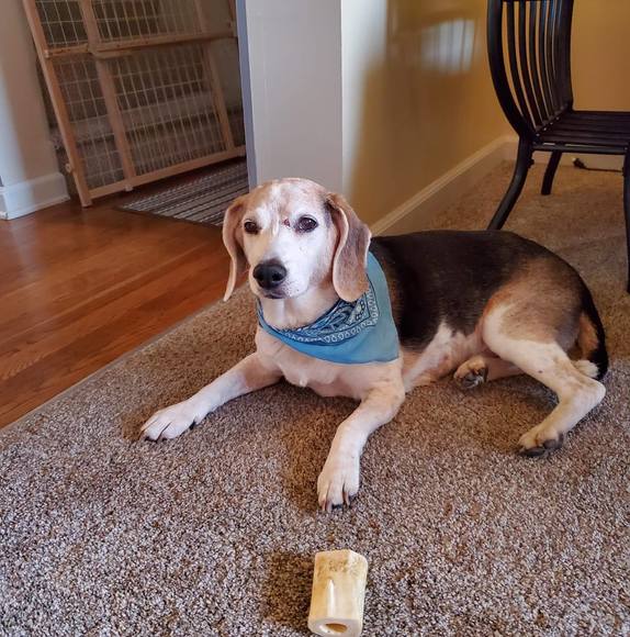 Profile Picture of Paula Hager-rhodes (@buster618) on Poshmark