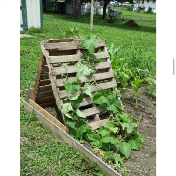 Profile Picture of Kara Hussmann (@batman7765) on Poshmark