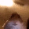 Profile Picture of ST • SINGL£ (@@adamrockey24) on Tiktok