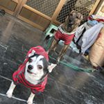 Profile Picture of 雪梅陳 (@pe_penny) on Instagram