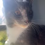 Profile Picture of Jonathon Pendergraft (@jonathon.pendergraft.2025) on Facebook