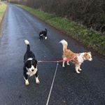 Profile Picture of Mark Jayne Barrett (@mark.j.barrett.3) on Instagram