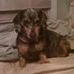 Profile Picture of Max Hicks (@max.hicks.127) on Facebook