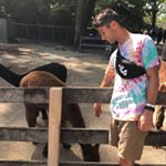 Profile Picture of Alex DiMarco (@al_dimarco) on Instagram