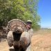 Profile Picture of Cedar Creek Outfitter  (@cedar.creek.outfitter.2024) on Facebook