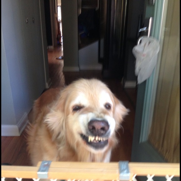 Profile Picture of Wendy Winzeler (@wjw1021) on Poshmark