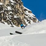 Profile Picture of Sean Minogue (@shaneminoog) on Instagram