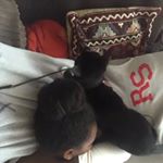 Profile Picture of Steven Kerr (@onehandsomeasstoker) on Instagram
