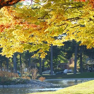 Profile Picture of Mandy Tidwell (Moos Menagerie Photography) (@mandy.poulsen.9) on Facebook